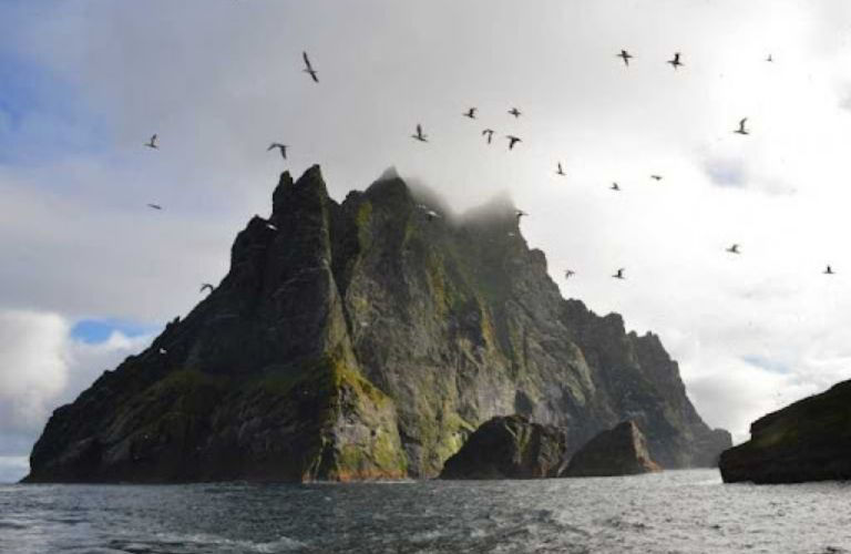 Why you should NOT visit Scotland, Scottish Seabirds